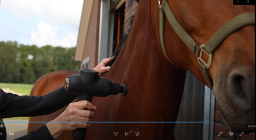Massage gun voor paarden